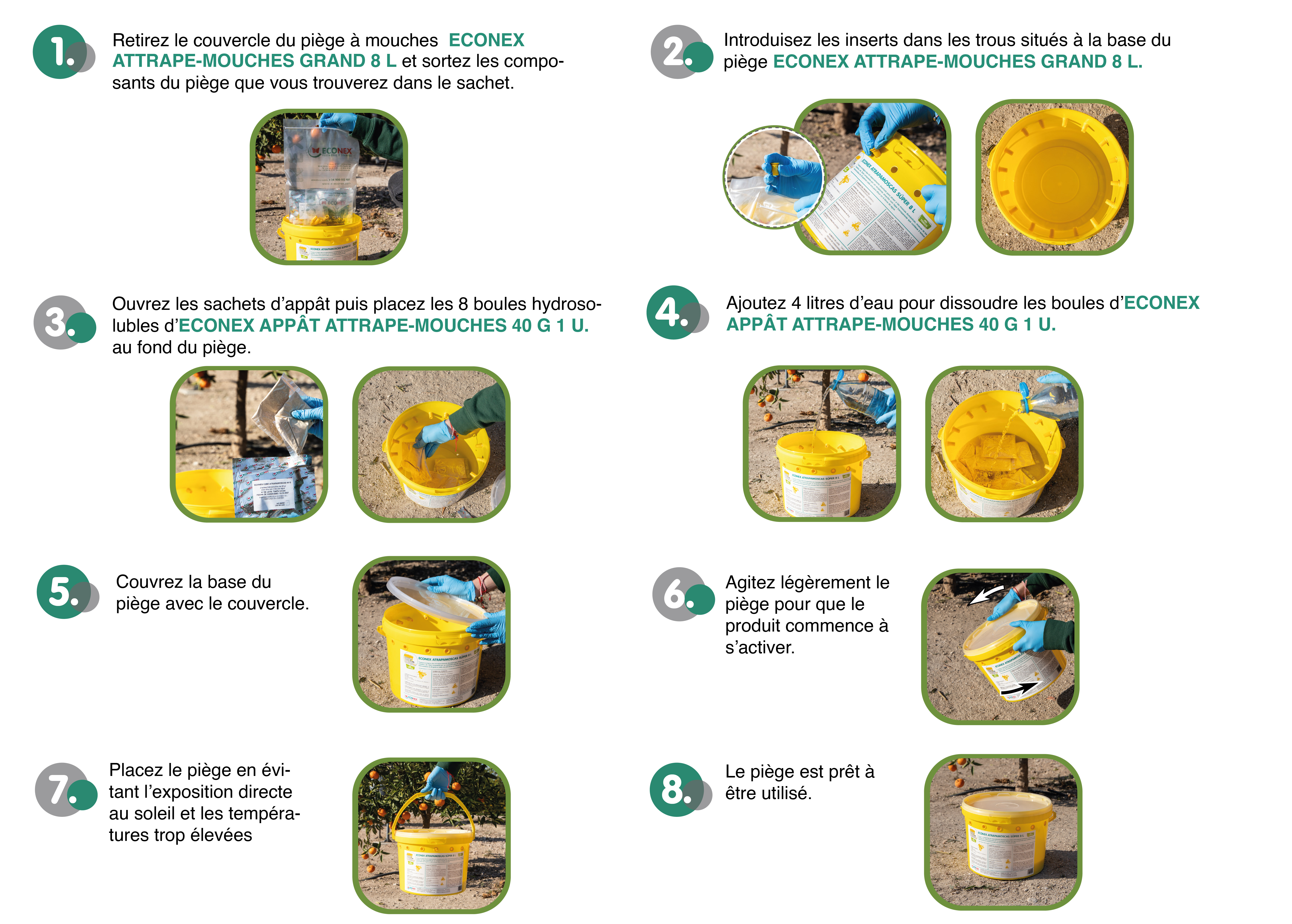 Esquema de la hoja de montaje